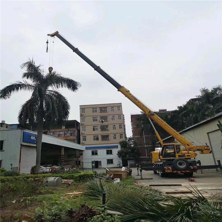 阆中汽车吊出租多少钱？全面解析与市场行情